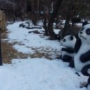 동화나라펜션