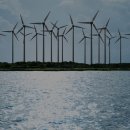 가온전선 이미지