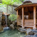 프리마스파 이미지