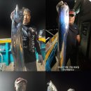 23일(수)/26일(토) 오전9시 여수-백도/간여 왕칼치 출조 예약중,,16석/자동투척기완비 이미지