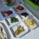 더뷰호스텔(더뷰동피랑호스텔) | [통영] 중앙시장 맛집, 동피랑굴촌 굴 코스 내돈내산 솔직후기