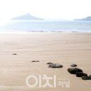 청년바다