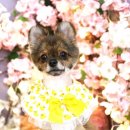 그루밍샵 0105 이미지