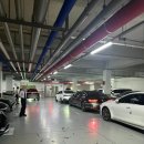 서울가든 | [하객 후기] 서울 청담 드레스가든 하객후기 - 주차, 식사, 베뉴 솔직한 후기