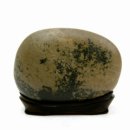 일광활어회 이미지