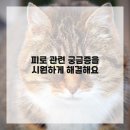 진에너지 이미지