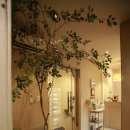 송석초등학교 이미지