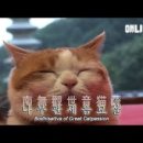 영성농장 네이버블로그
