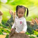 신기한나라어린이집 이미지