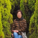 제주 관광버스 비용 금액 안내 - 제주도 편안한 효도여행 후기