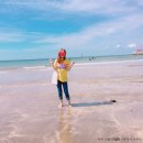 제주드림공인중개사사무소 이미지