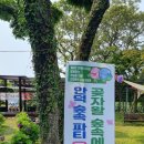 안덕면사무소 앞 이미지