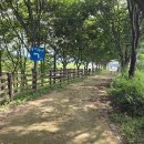 화강 수변 오토 캠핑장 이미지