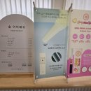 숲아이래쉬