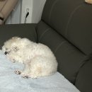 연초수제돈까스 | 한 해의 절반을 지나고.. 추억 팔이 | 26년 1월 ~ 2월