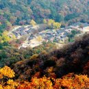 세계의 차문화 이미지