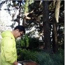 [동래 금정마을] 가을의 향을 만끽하게 만드는 솔잎과 솔방울 훈연 오리고기 맛이 최고 ~ 금오정 이미지
