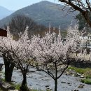 외암 | 서울 근교 한옥여행 아산 외암마을 솔직 후기 (+입장료, 꿀팁 총정리)