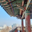 솔마루민박 | 울산의 남산, 은월봉 남산루에 올라/김태경