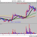 (주)피엔티코리아