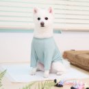 요술강아지 | 프리미엄 엣지 강아지 배변패드 후기 살펴보기, 천연펄프 요술배변패드 100매입