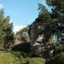 천년숲서로(서) | 제주 구좌 비자림｜숨 쉬는 숲, 천년 나무와 함께한 산책 시간