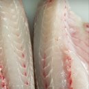살 좋습니다!!자연산 민어회/특大갑오징어/활 감성돔/새조개살/홍어회/활 참농어/자연산 백합 이미지