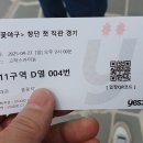 불꽃야구(최강야구) 직관 이미지