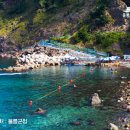 용이푸른약국 이미지