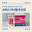 소버스 | 소버스 이너윌 레이디제인 유산균 후기. 임산부 유산균 추천