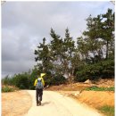 신월선착장 이미지