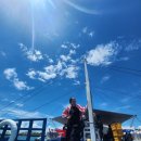 (주)위너웨이 | 1탄] 4년만의 다이빙 후기입니다. ㅋㅋ 세부 펀다이빙 가격(3회130불), 준비물(별도없음) ft.위너다이브