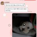 하은동물병원 이미지