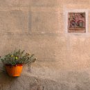 업동이네 이미지