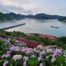 (주)유니온관광 이미지