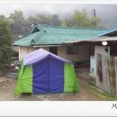 감자꽃스테이 이미지