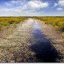 싱싱도서관 이미지