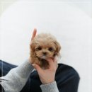 여주켄넬 이미지