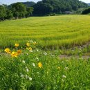 행정사사무소 솔빛 이미지