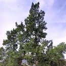 종로-종로-종로-종-314 이미지