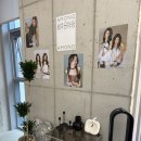 신논현미용실 추천 어몽헤어 신논현점 헤어컨설팅, 레이어드 허쉬펌 솔직 후기