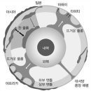 대륙 이동설continental drift theory , 大陸移動說 이미지