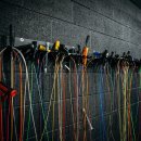 경희대석사 비룡태권도 이미지