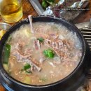 명운 참 숯불구이 | 🦆안산 사리역 오리구이 맛집_담소 참숯불 유황오리구이_내돈내산 솔직 후기