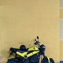 나비 | 혼다 나비 110 | 혼다 나비 도로주행 | 혼다 나비 후기