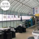 (울산맛집)정자 돈참새미 미나리삼겹살 내돈내산 솔직후기