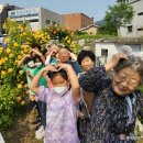 동편경로당 충북일보