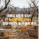 미연농장 | 농지 CCTV 경산 CCTV 농가 농산물 절도 예방 참외밭 설치 후기