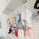 디어펫살롱 이미지