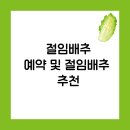 GS25해남우수영점 | 절임배추 예약 및 절임배추 추천